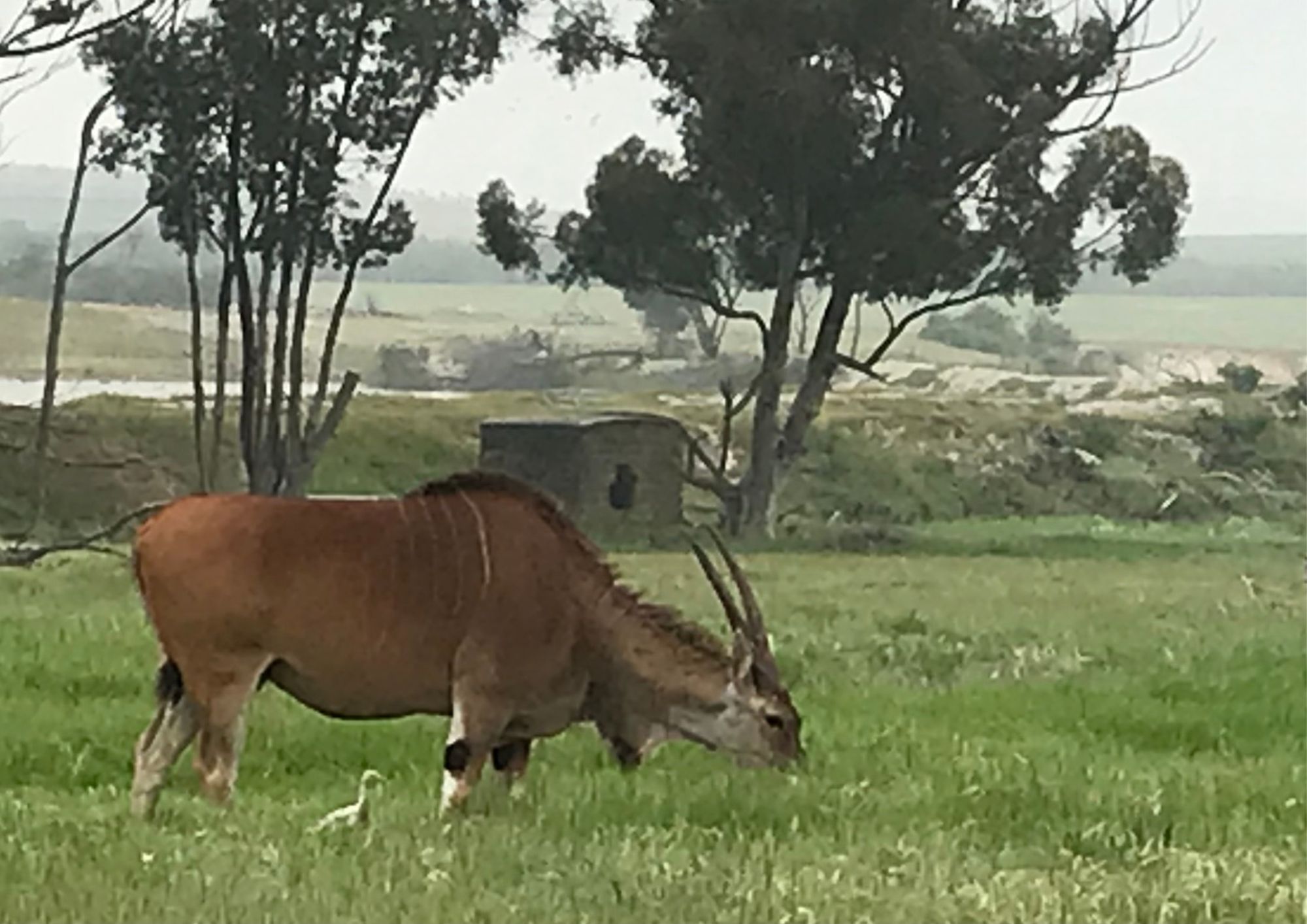 Belmont Residence Cape Town 8